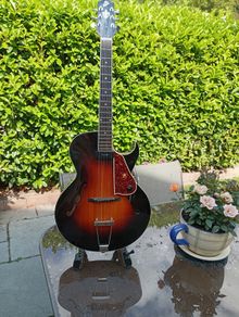Loar Archtop Guitar