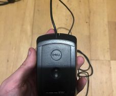 mouse