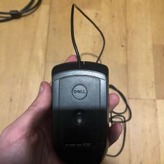 mouse