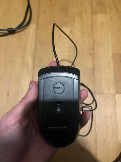 mouse