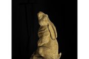 Moon Hare EG102