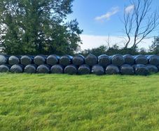 100 bales haylage 2025 double wrapped. 50eu per ba