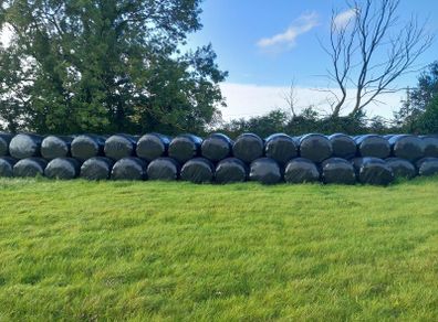 100 bales haylage 2025 double wrapped. 50eu per ba