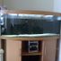 ads