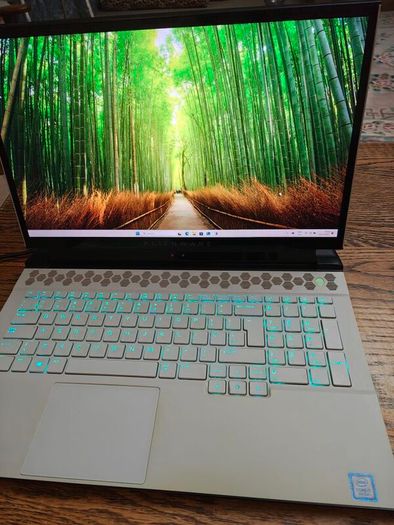 Alienware laptop  17 inch.