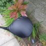 Ping Driver Image 3
