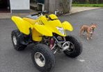 Suzuki ltz250