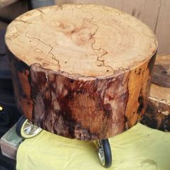Tree stump