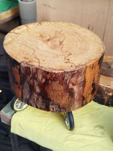 Tree stump