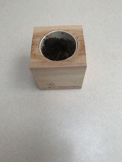 herb wooden thyme pot