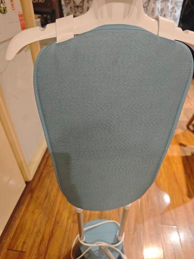 steamer garment