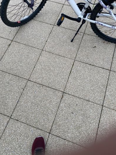 girls bike