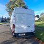 Ford Transit 2019 px for trailer Image 5