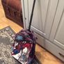 backpack Image 4