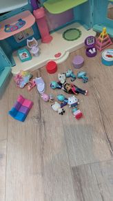 Gabby doll house