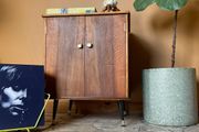cabinet mid century vinyl cabinet