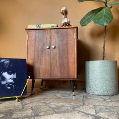 cabinet mid century vinyl cabinet