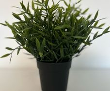 IKEA Fejka plant