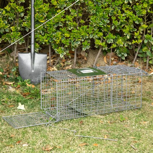 Folding capture cage trap for small animals like rats and mice - 2 doors handle 66 x 24 x 30.5 cm grey steel