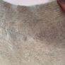 Vintage wool/angora cardigan monsoon Image 8