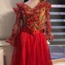 dress Image 2