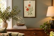Original Elizabeth A. McEwen Botanical Watercolour - Poppies