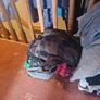 boys clothes size 7-9 and woman's clothes size xl Image 2