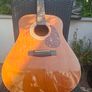 Vintage 1980's Hondo Dreadnought Acoustic Image 2