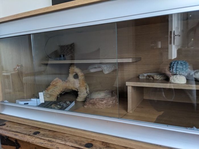 terrarium/vivarium