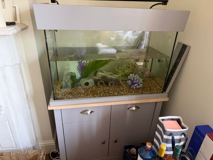 Large fish Tank