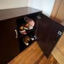 cabinet Image 4