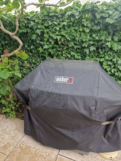Weber Spirit - 3 Burner gas bbq