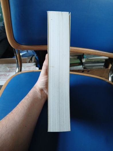 Edmund Husserl - The Shorter Logical Investigations