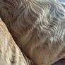 Large 2/3 seater cosy sofa Image 6