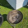 bbq Image 3