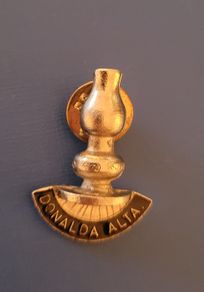 lapel pin