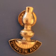 lapel pin
