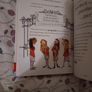 David Walliams The Worlds worst children 2, hardback Image 3
