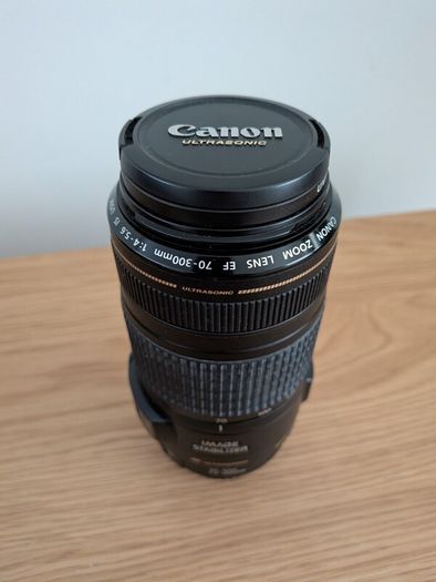 Canon EF 70-300mm f/4-5.6 IS USM Lens