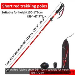 Walking Pole