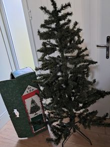 Free Christmas Tree and stand