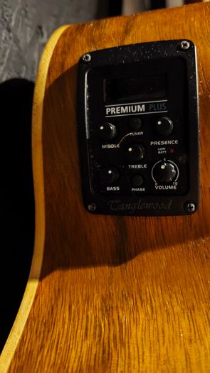 Tanglewood Reunion Electro-Acoustic Guitar (Pacific Walnut)