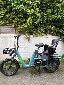 Cargo E-Bike