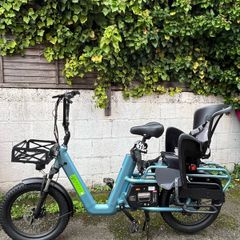 Cargo E-Bike