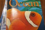 Ocean Eyewonder Enter A World Of Discovery