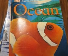 Ocean Eyewonder Enter A World Of Discovery