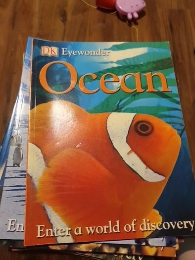 Ocean Eyewonder Enter A World Of Discovery