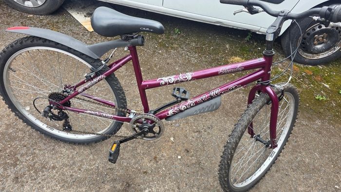 Meander 26inch  Bike   17 Frame   Fully Serviced    Ready to Ride