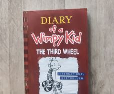 Diary of a Wimpy Kid The Third Wheel