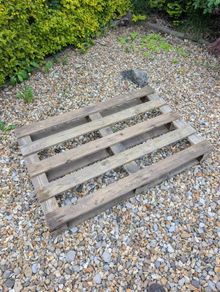 Free pallet